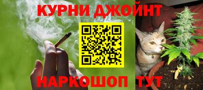 PSILOCYBIN Бугуруслан