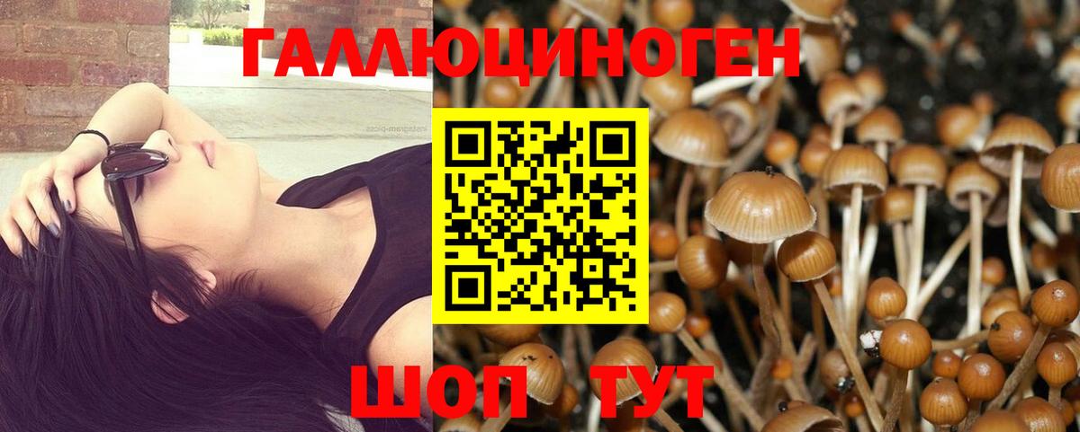 Южноуральск  Псилоцибиновые грибы мицелий  Галлюциногенные грибы MAGIC MUSHROOMS  Вход с VPN 